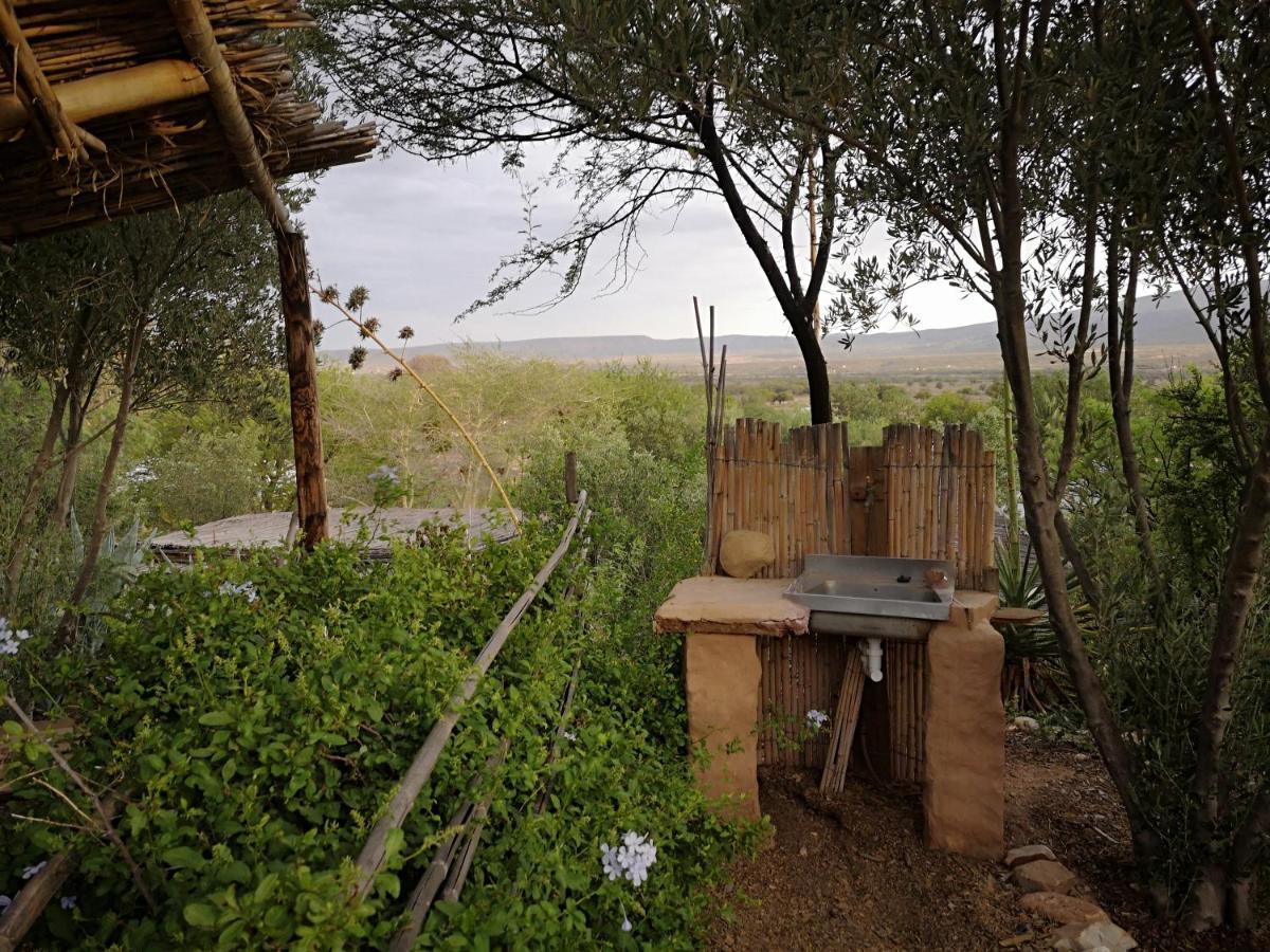 Amber Lagoon Backpackers Lodge Vleirivier المظهر الخارجي الصورة