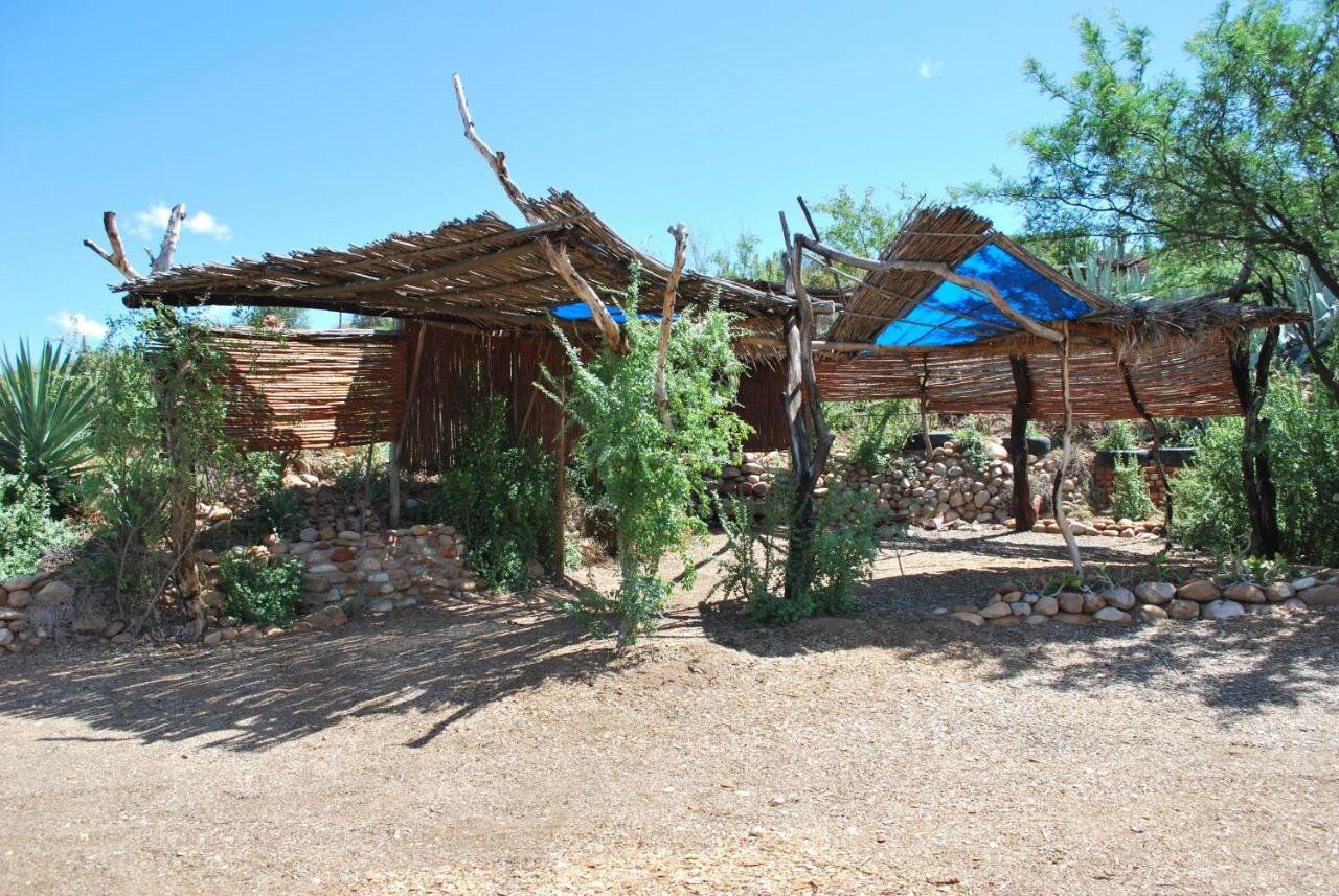 Amber Lagoon Backpackers Lodge Vleirivier المظهر الخارجي الصورة
