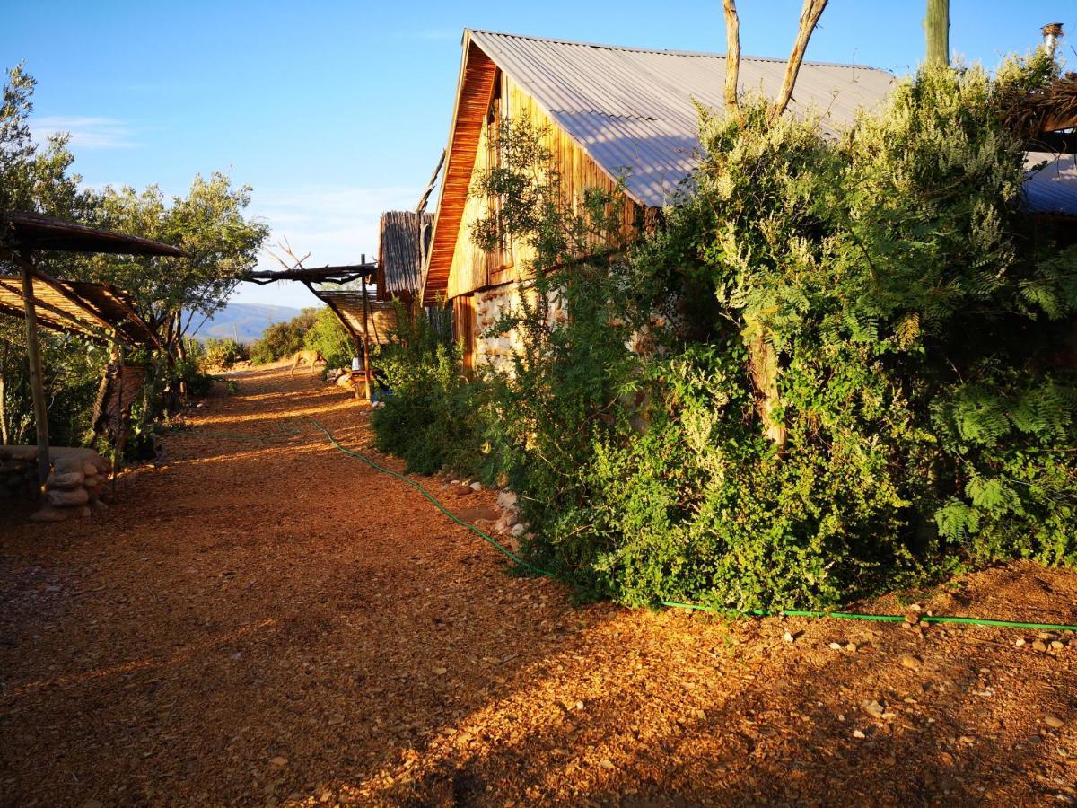 Amber Lagoon Backpackers Lodge Vleirivier المظهر الخارجي الصورة