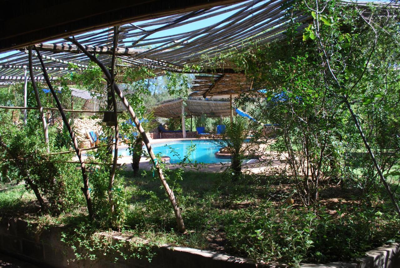 Amber Lagoon Backpackers Lodge Vleirivier المظهر الخارجي الصورة