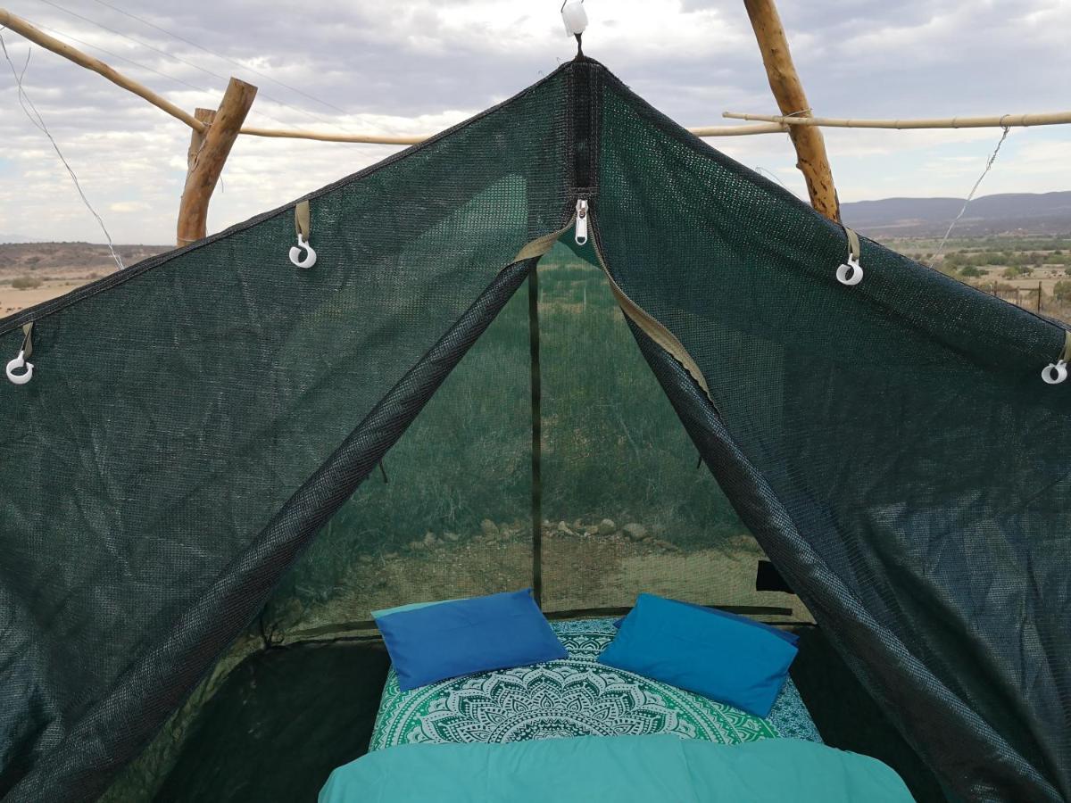 Amber Lagoon Backpackers Lodge Vleirivier المظهر الخارجي الصورة