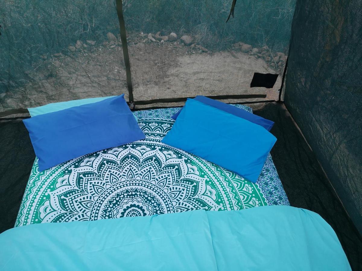Amber Lagoon Backpackers Lodge Vleirivier المظهر الخارجي الصورة