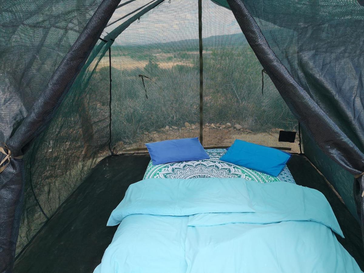 Amber Lagoon Backpackers Lodge Vleirivier المظهر الخارجي الصورة