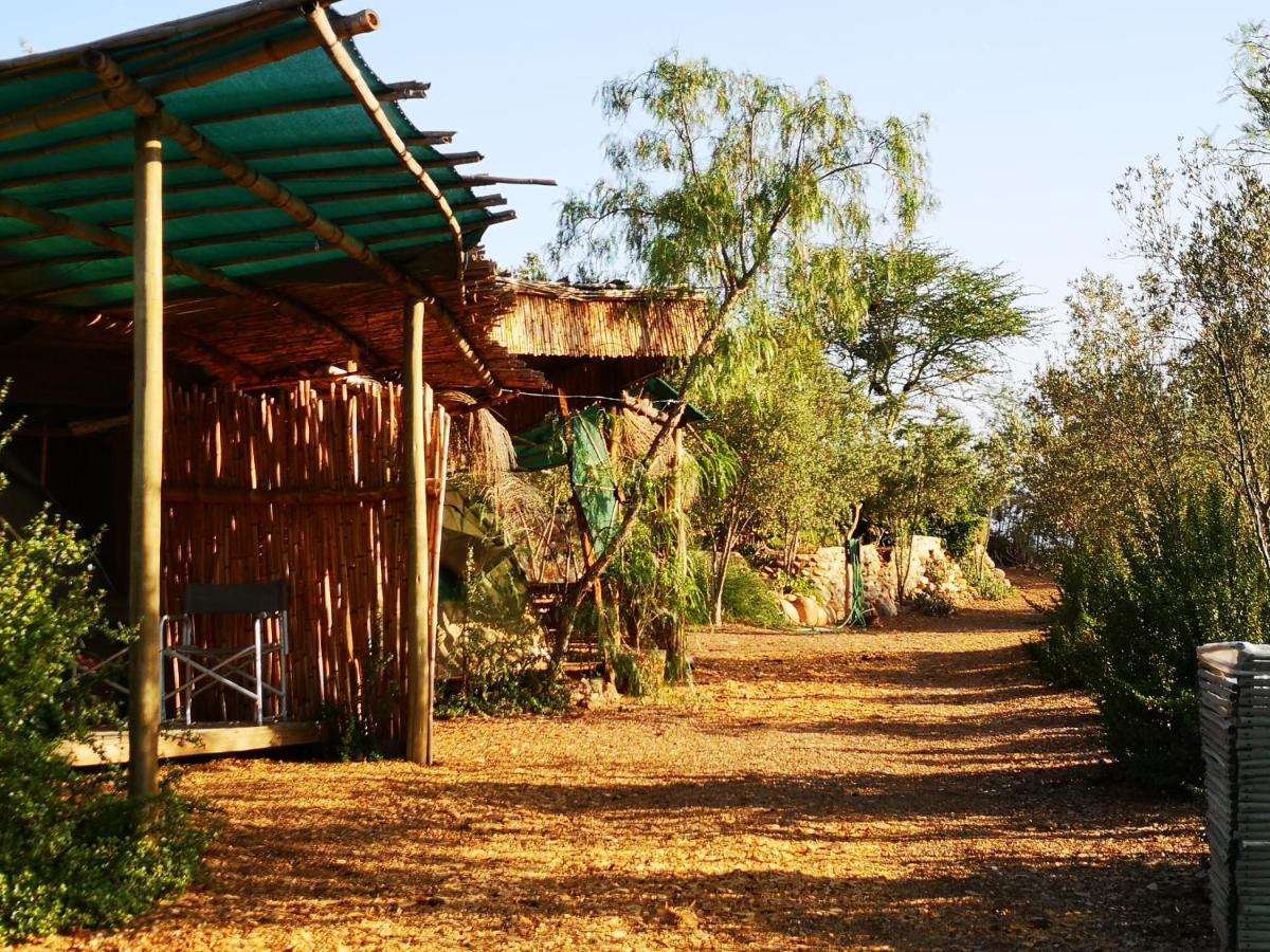 Amber Lagoon Backpackers Lodge Vleirivier المظهر الخارجي الصورة