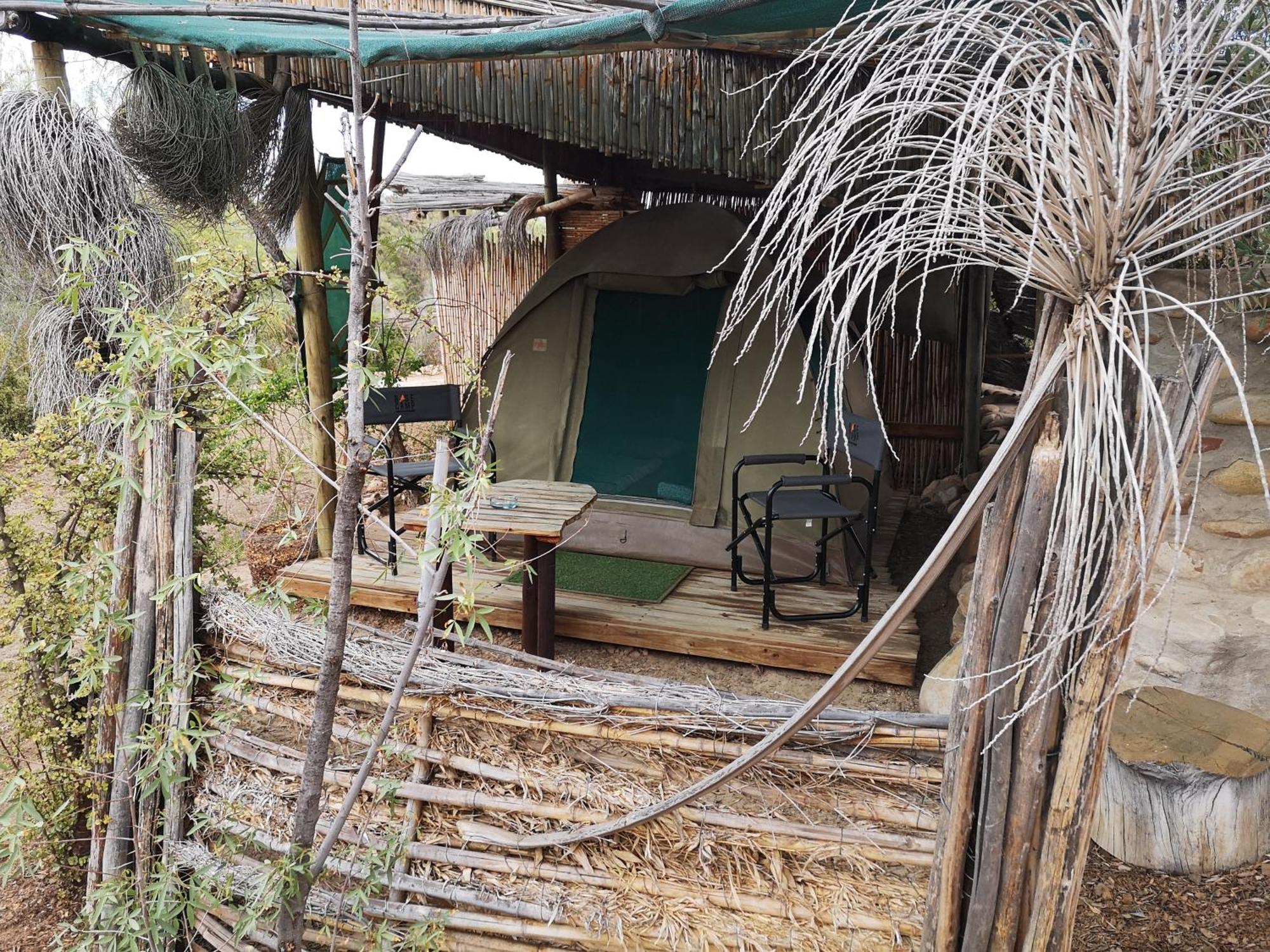 Amber Lagoon Backpackers Lodge Vleirivier الغرفة الصورة
