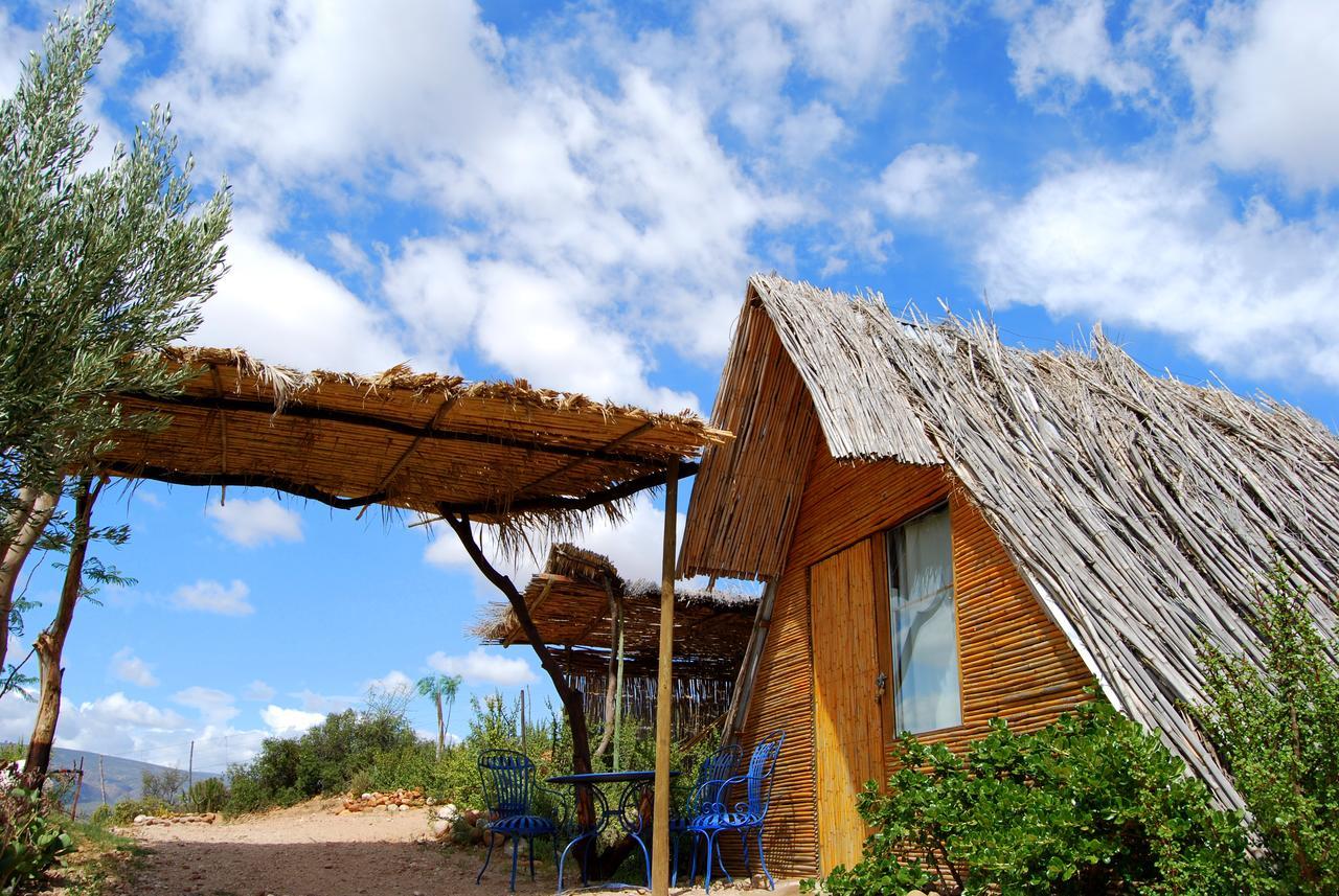 Amber Lagoon Backpackers Lodge Vleirivier المظهر الخارجي الصورة
